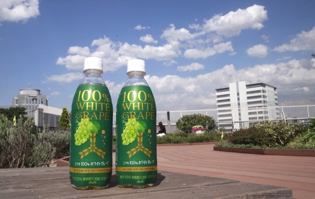 待望の新発売！三ツ矢ブランドの