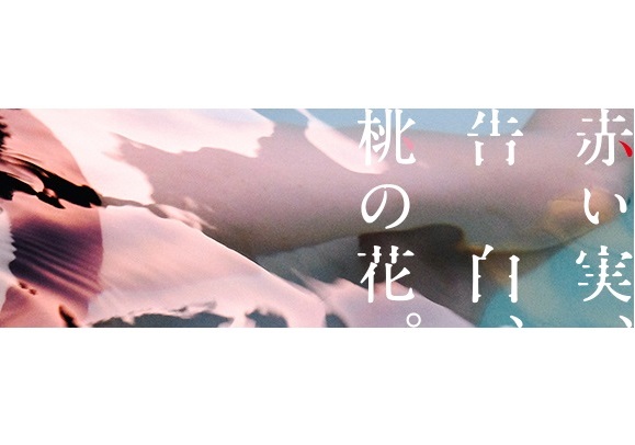vol.12　前編　「今泉かおり」さん 〜　こんな人はどこにもいないとふと気づく　〜